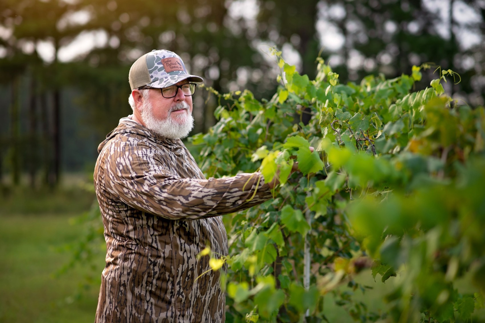 Michael Parker working the vines at Hickory Bluff Berry Farm